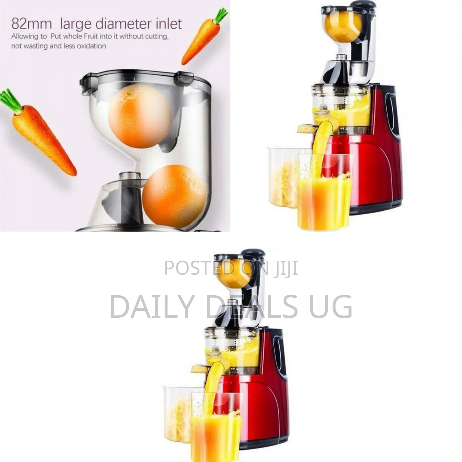 High-Efficiency Slow Juicer for Maximum Nutrition - Multicolor