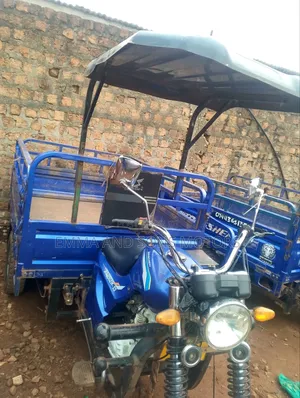 Tricycle 2024 Blue