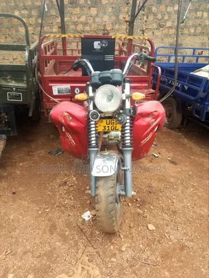 Tricycle 2024 Red