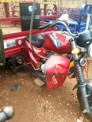 Tricycle 2024 Red
