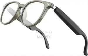 Green Lion Stockholm Smart Glasses
