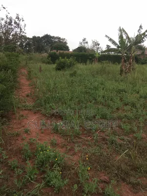 Titled Plots of Land in Gulu City