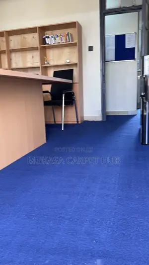Wall-to-wall Carpet Installation Services