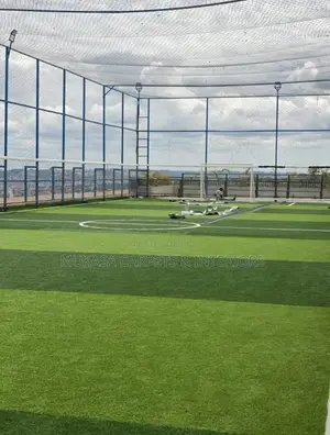 Sports Activity Grass Carpet – Heavy-Duty Quality