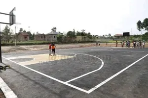 Tarmac, Pavers And Compound Levelling