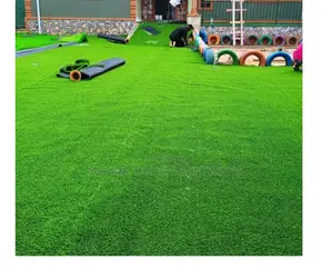 Durable Artificial Grass for School Classrooms Halls