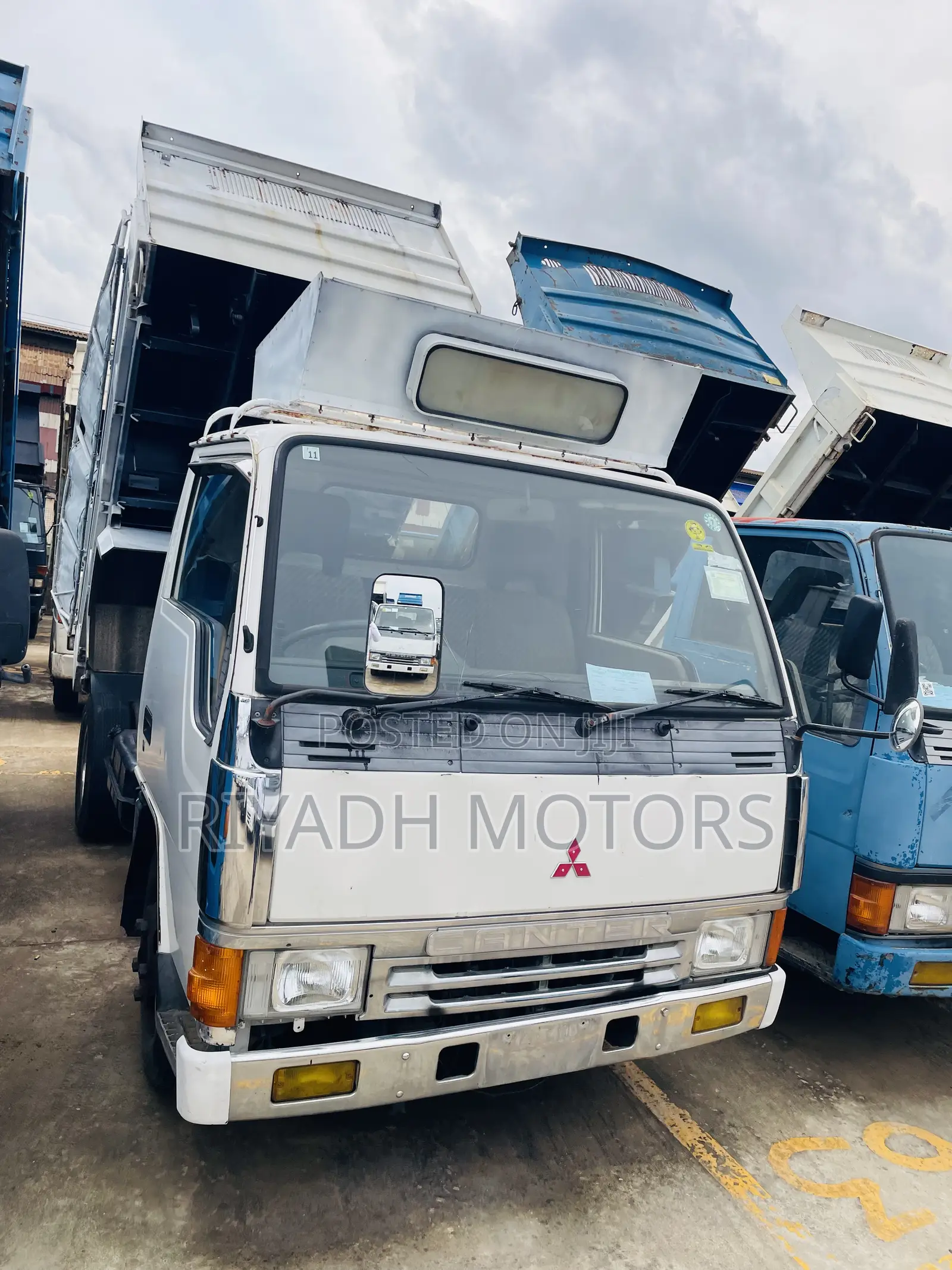 Canter Tipper White