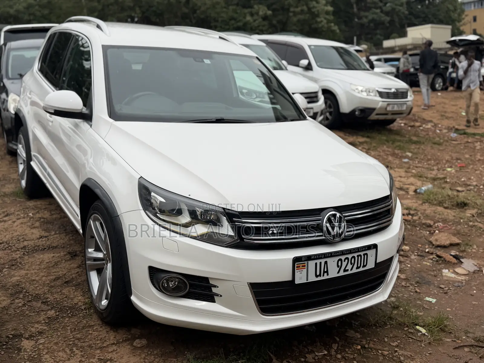 Volkswagen Tiguan 2014 White