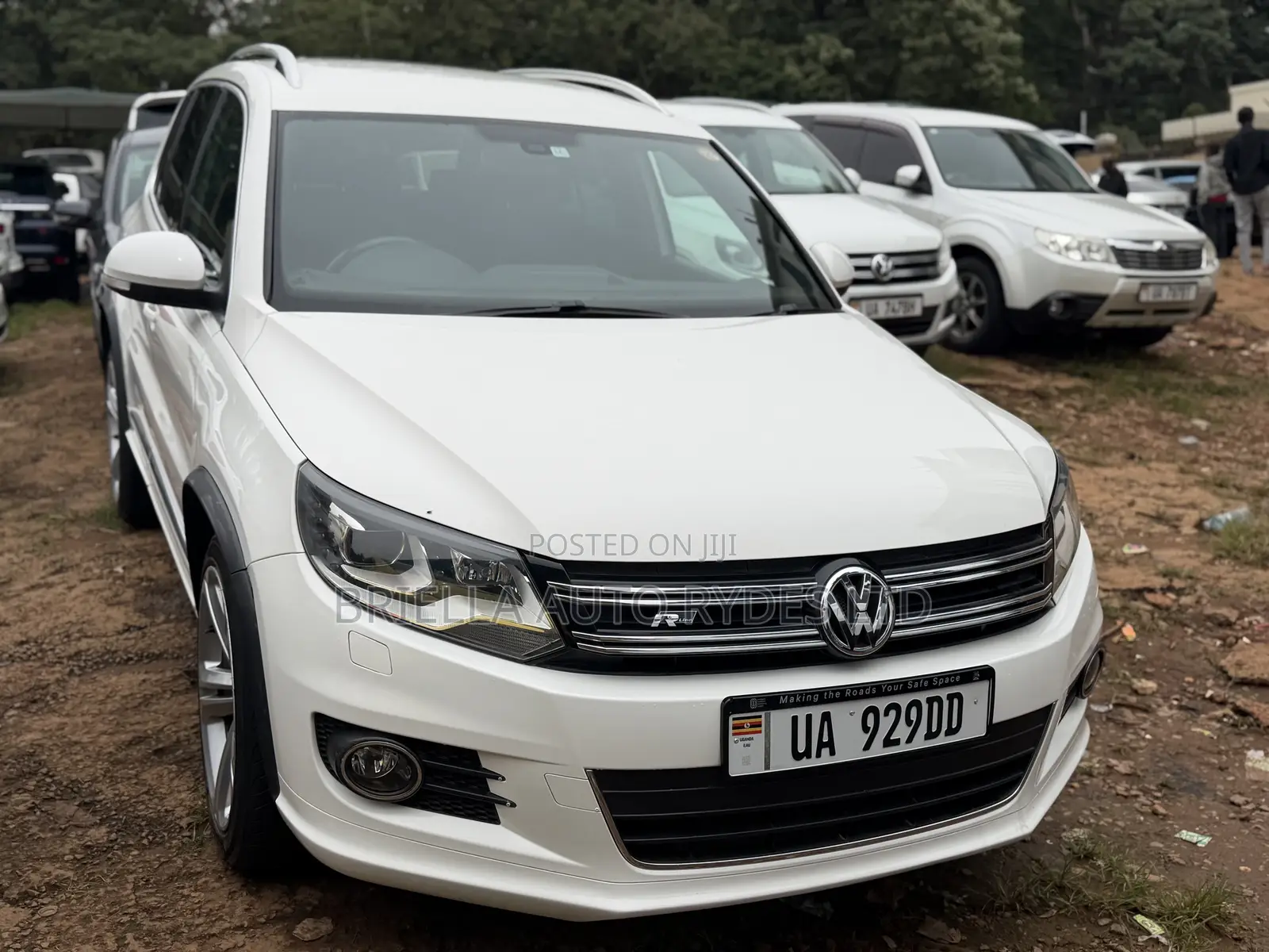 Volkswagen Tiguan 2014 White