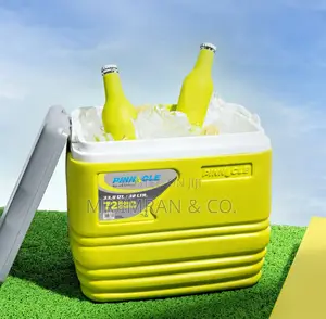 Pinnacle 32l Insulated Water Cooler Ice Chiller Box