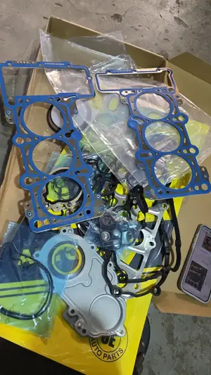 Head Gasket and Top Cover Seals