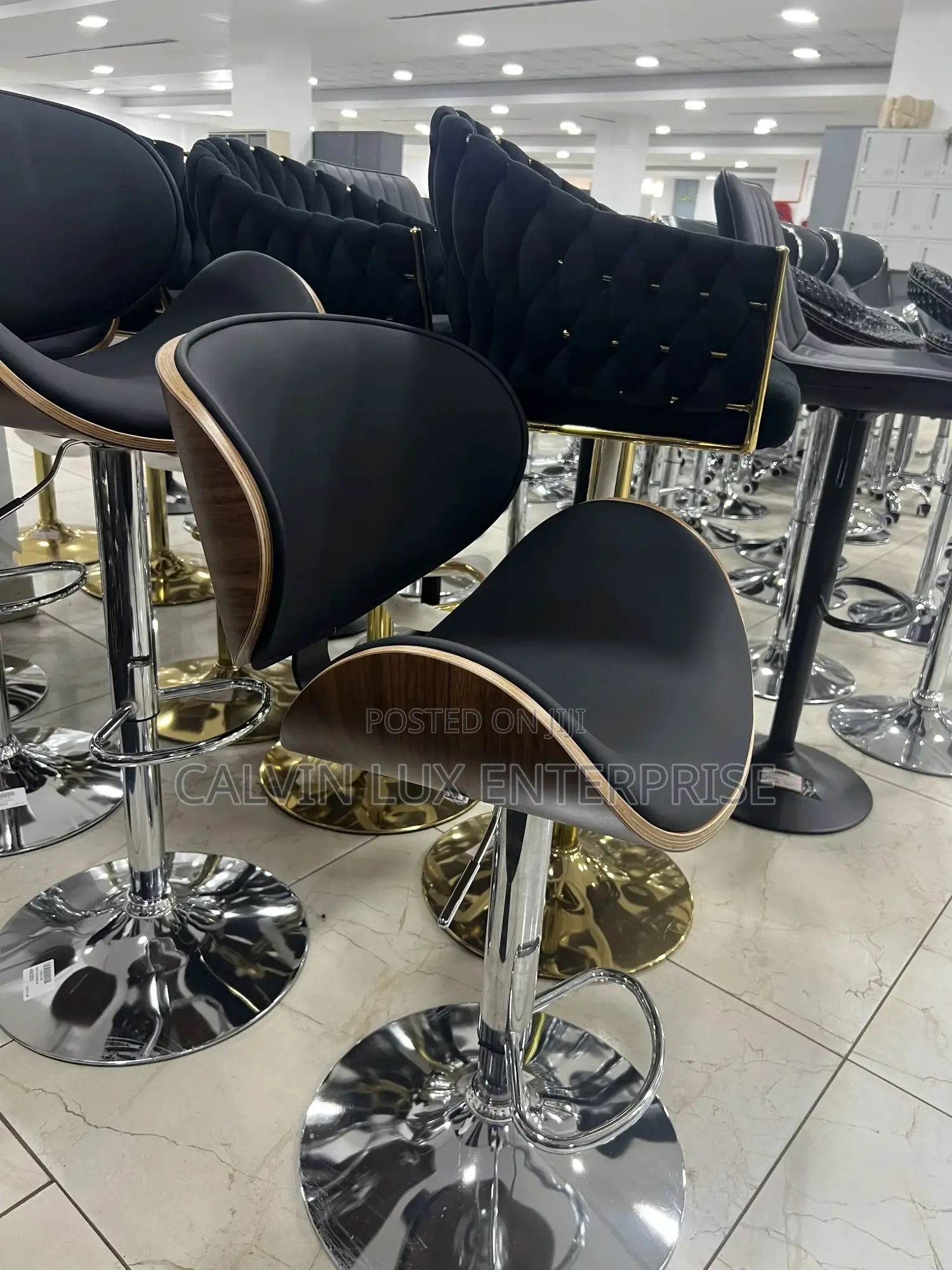 Adjustable Chair With Stainless Stand