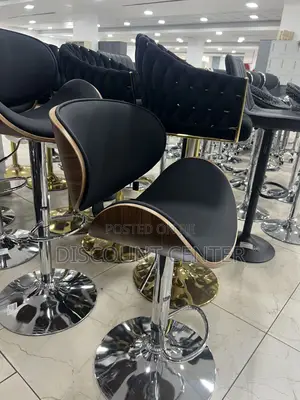 Adjustable Chair With Stainless Stand