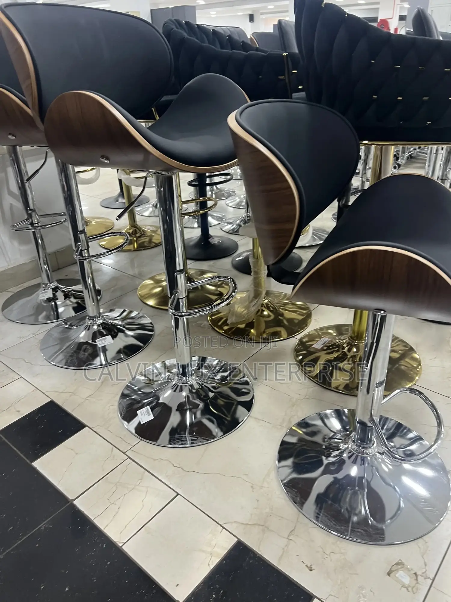 Adjustable Chair With Stainless Stand