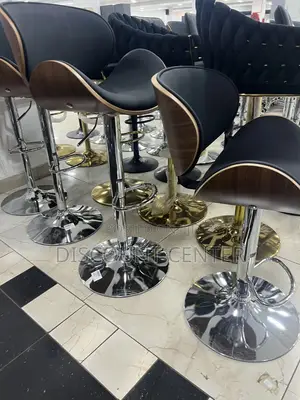 Adjustable Chair With Stainless Stand