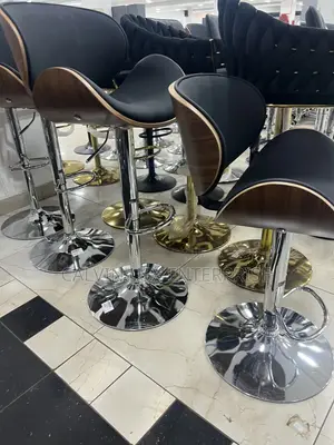 Adjustable Chair With Stainless Stand