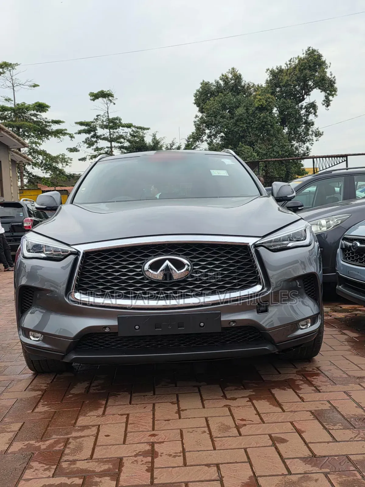 Infiniti QX50 2019 Gray