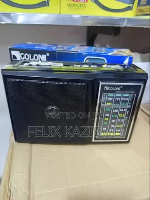 10-Band Series Portable Radio