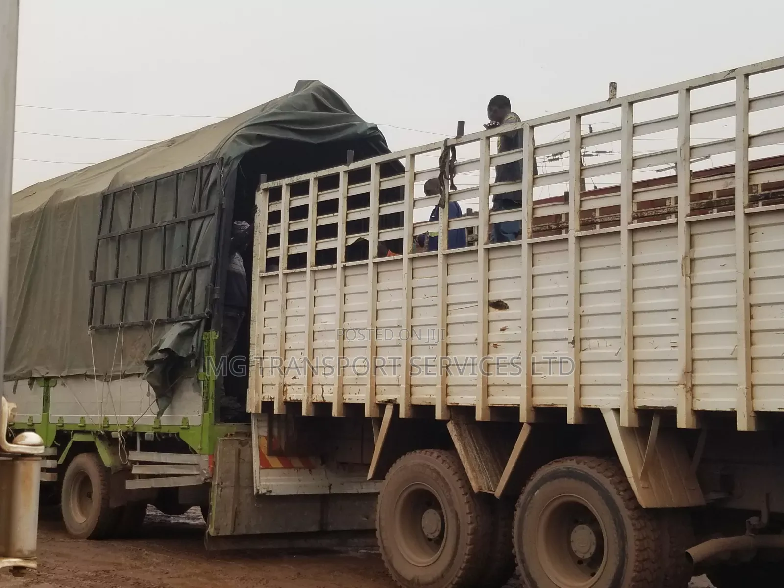 Mg Transporters LTD