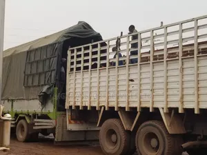 Mg Transporters LTD