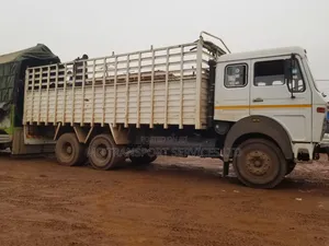 Mg Transporters LTD