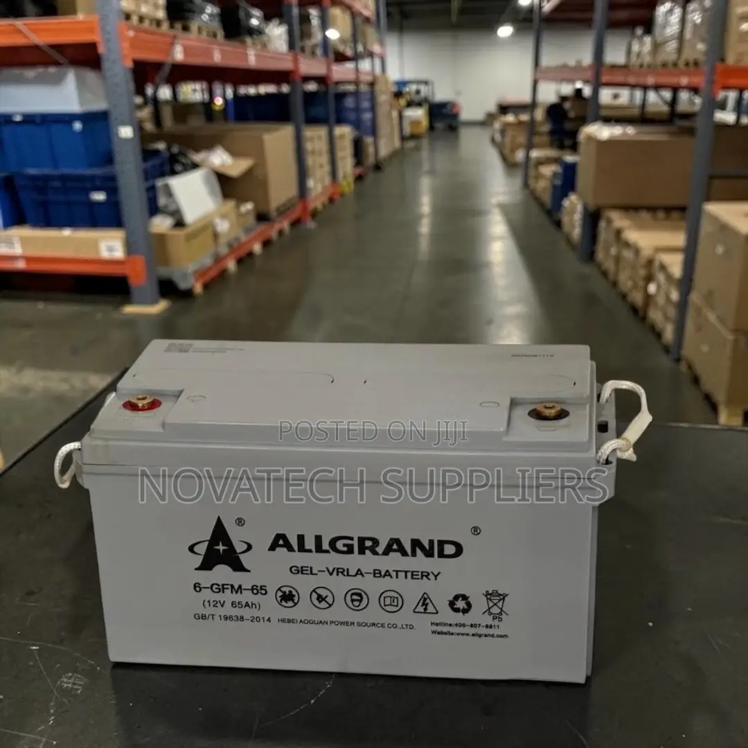 Allgrand 65ah 12v Maintenance-Free Gel Battery