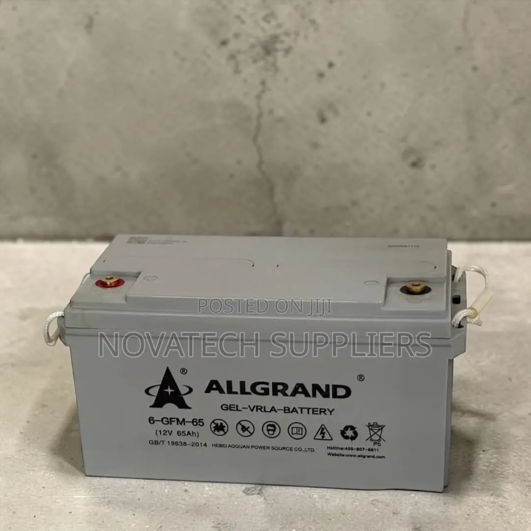 Allgrand 12v 65ah Pure Gel Inverter Battery