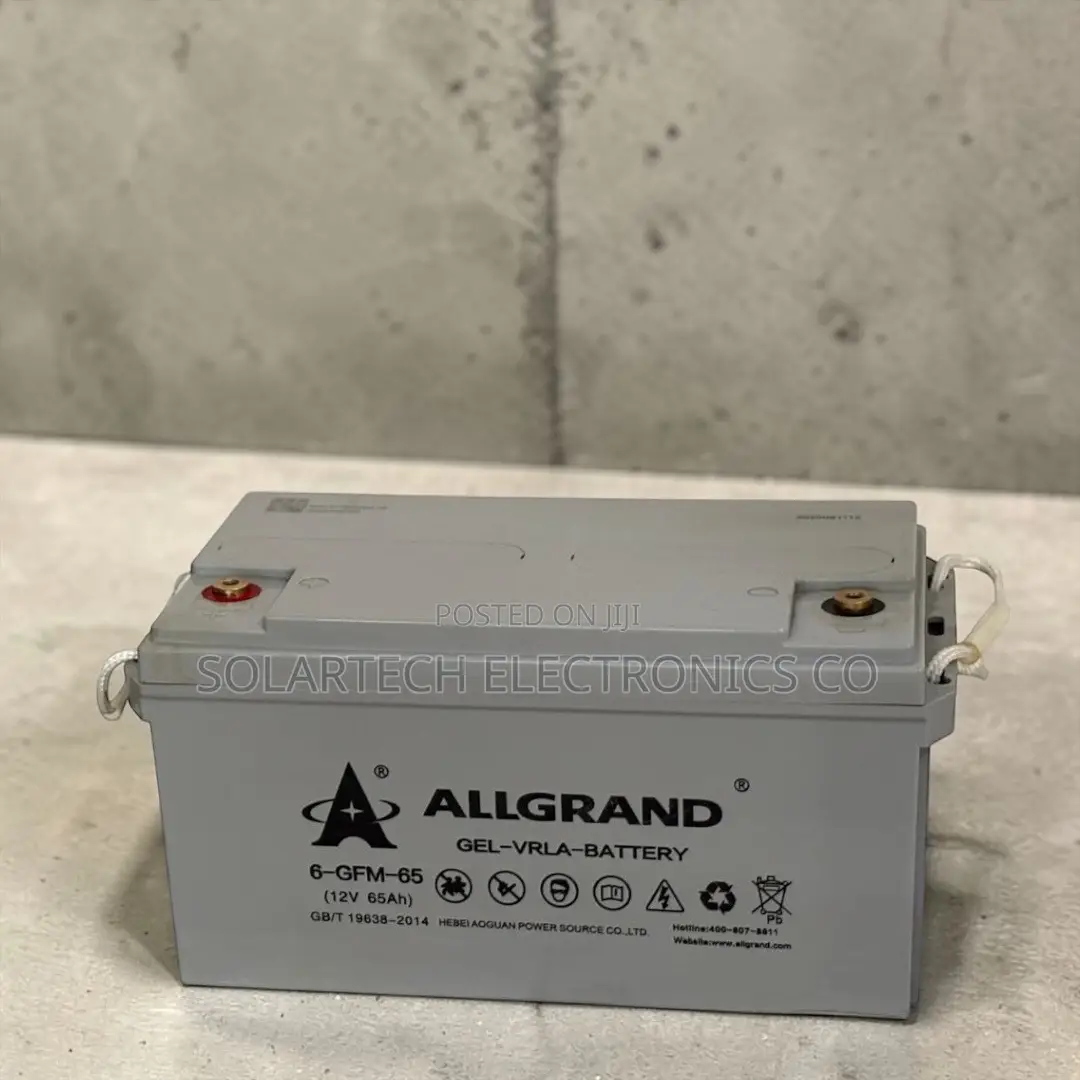 Allgrand 65ah 12v Durable Pure Gel Battery