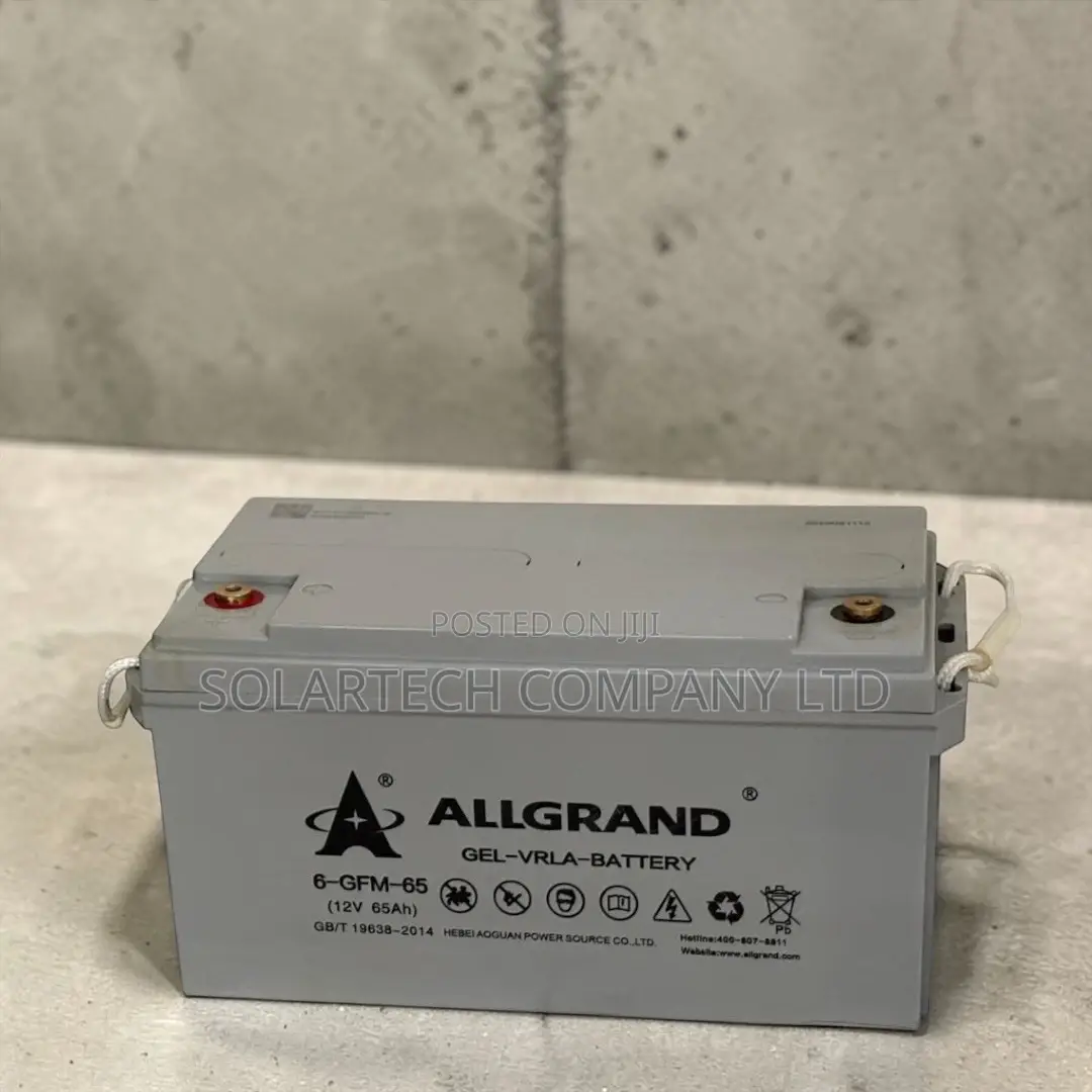 Allgrand 65ah 12v Durable Pure Gel Battery