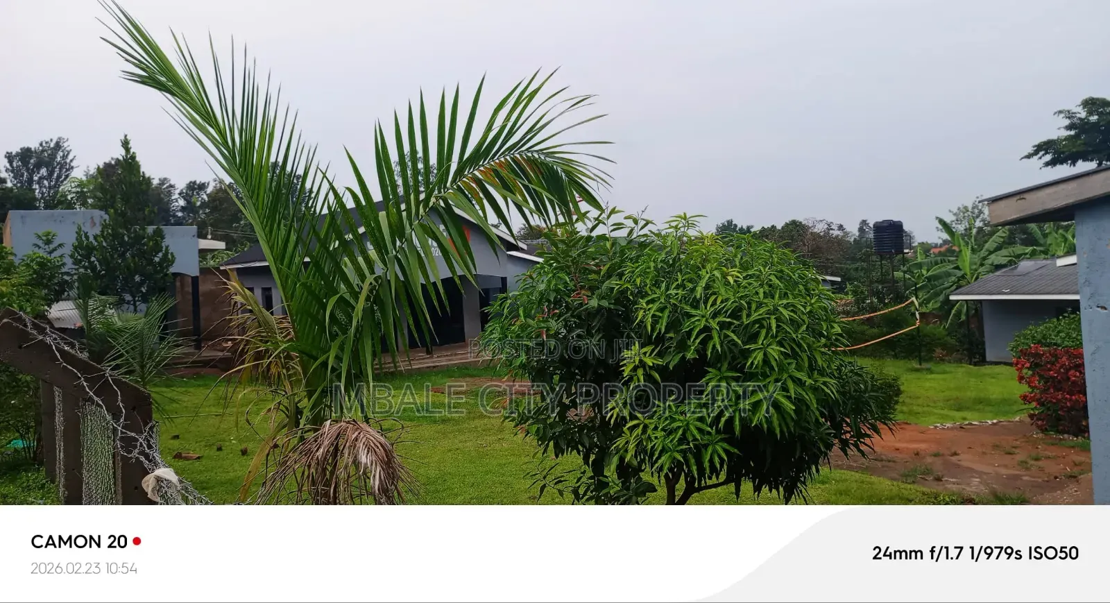12bdrm House in Mbale for sale