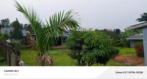 12bdrm House in Mbale for sale