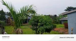 12bdrm House in Mbale for sale
