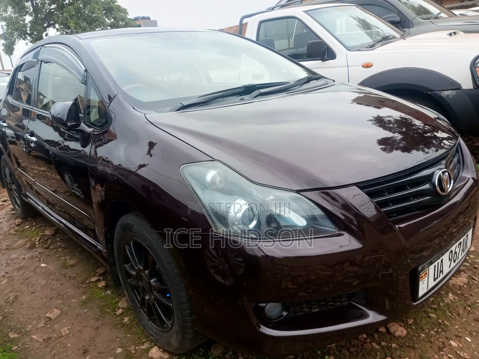 Toyota Blade 2006 Brown