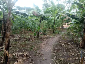 15 Acres of Land in Lugo Buwambo