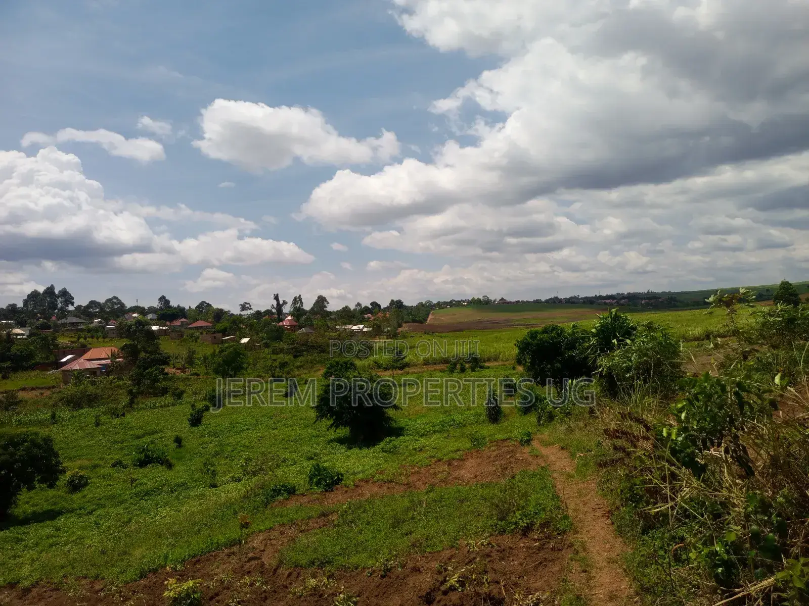 15 Acres of Land in Lugo Buwambo
