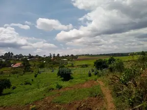 15 Acres of Land in Lugo Buwambo