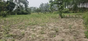 Farm Land for Sale at Namayumba Along Hoima Road
