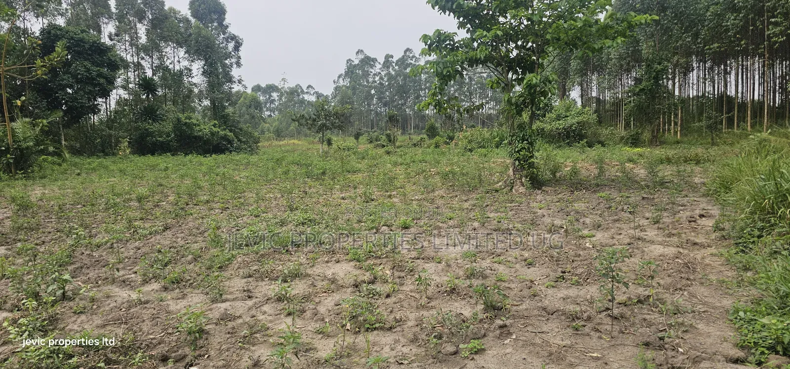 Farm Land for Sale at Namayumba Along Hoima Road