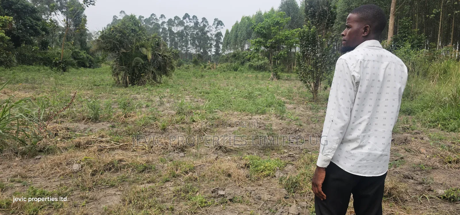 Farm Land for Sale at Namayumba Along Hoima Road