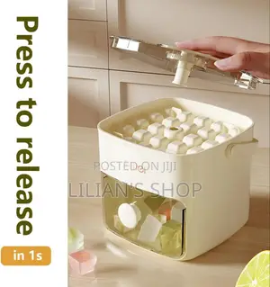 Aswei Portable Ice Cube Maker and Storage Box