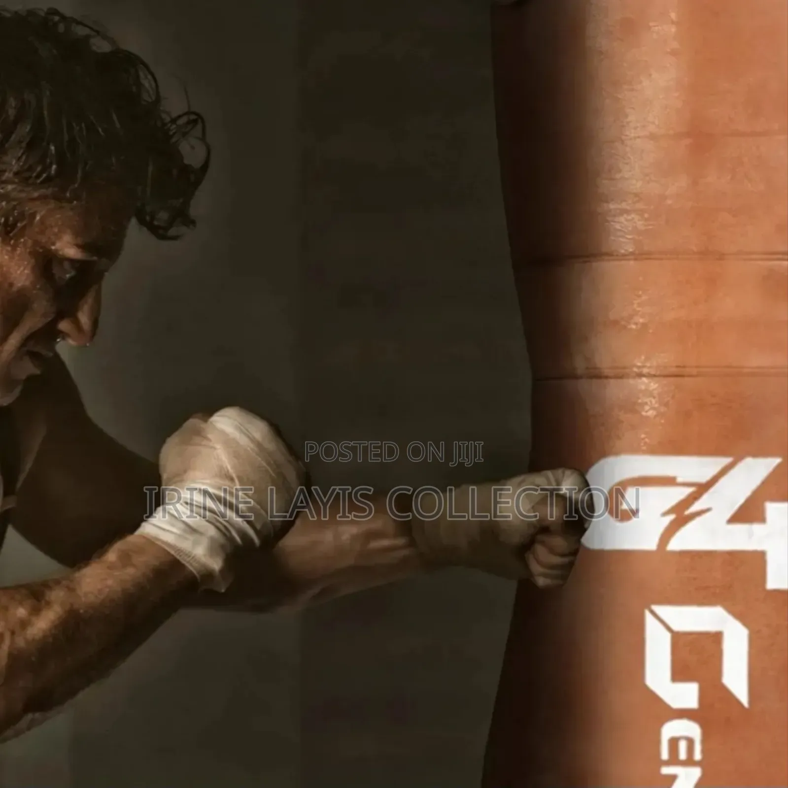 Penta Punching Bags,