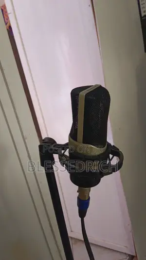 Sennheiser Mk4 Large Diaphragm Studio Microphone