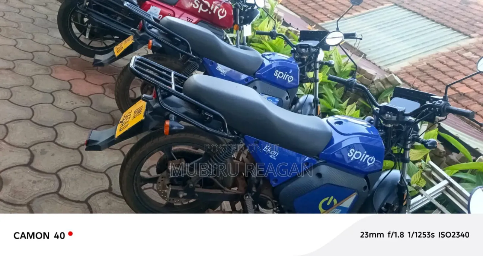 New Bajaj Boxer 100 2025 Blue
