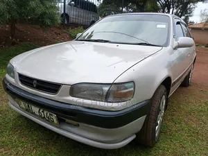Toyota Corolla 2003 White
