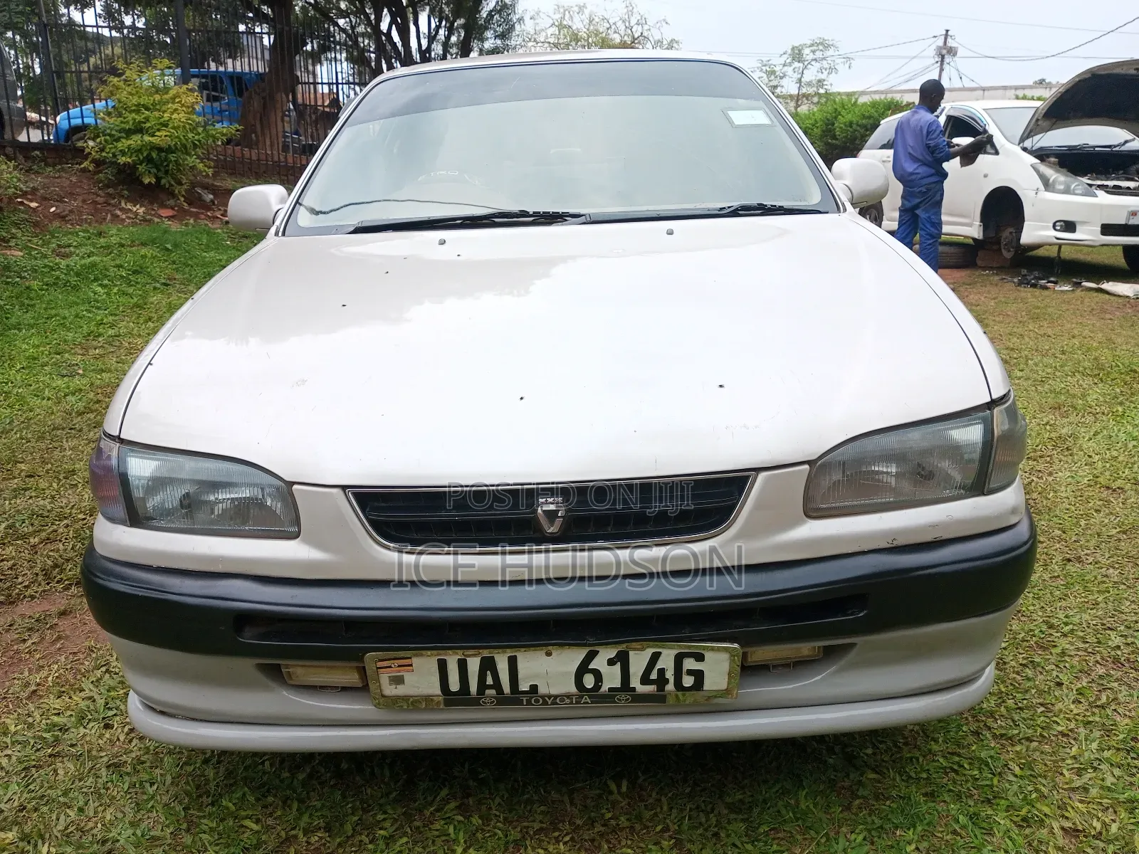 Toyota Corolla 2003 White