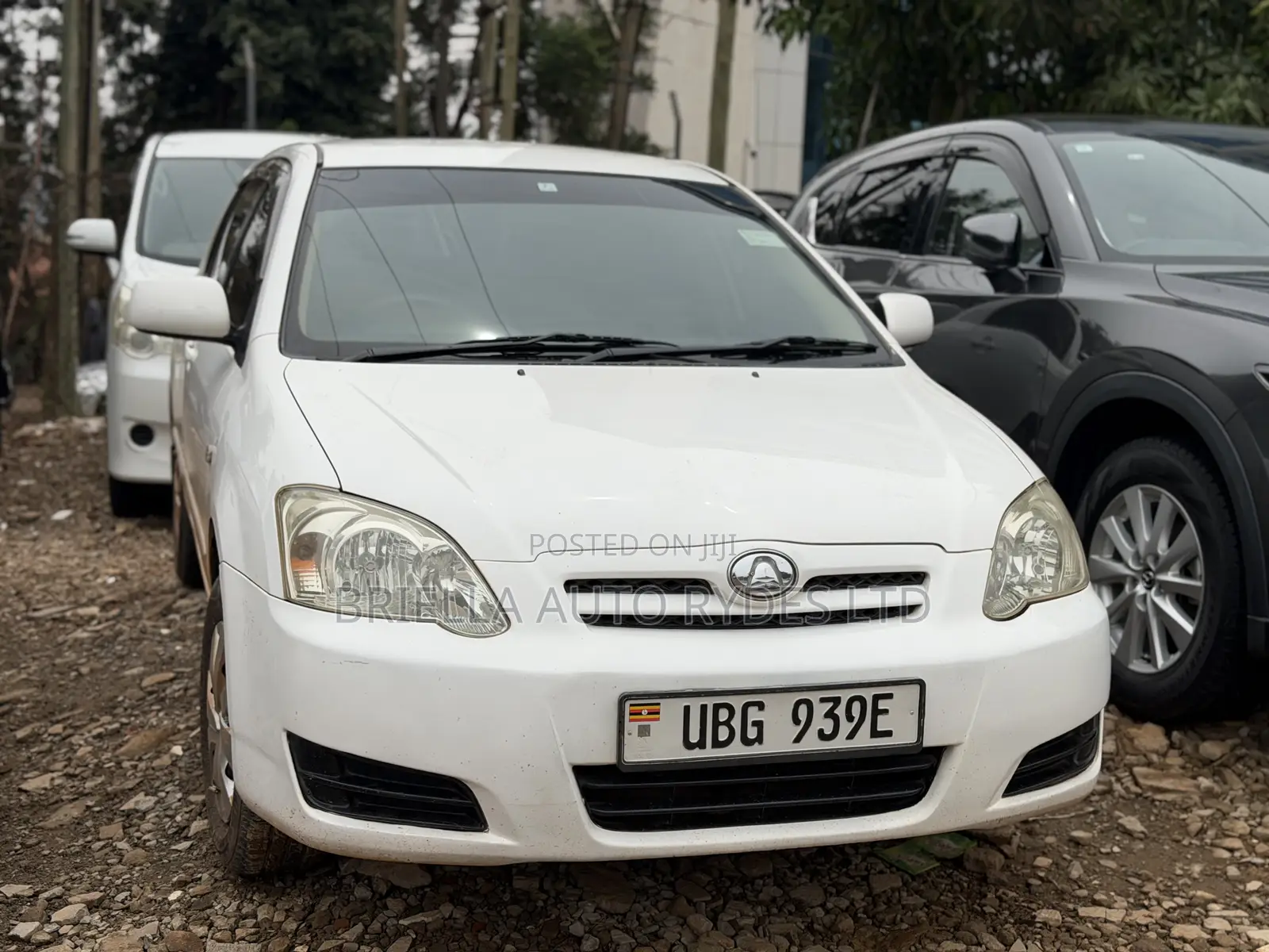 Toyota Allex 2006 White