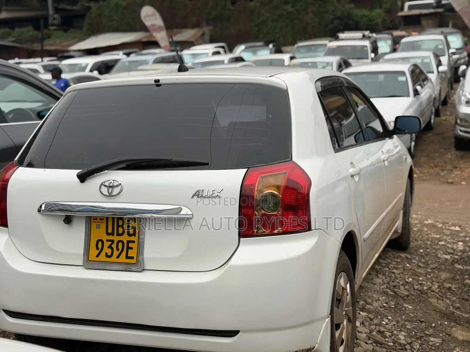 Toyota Allex 2006 White