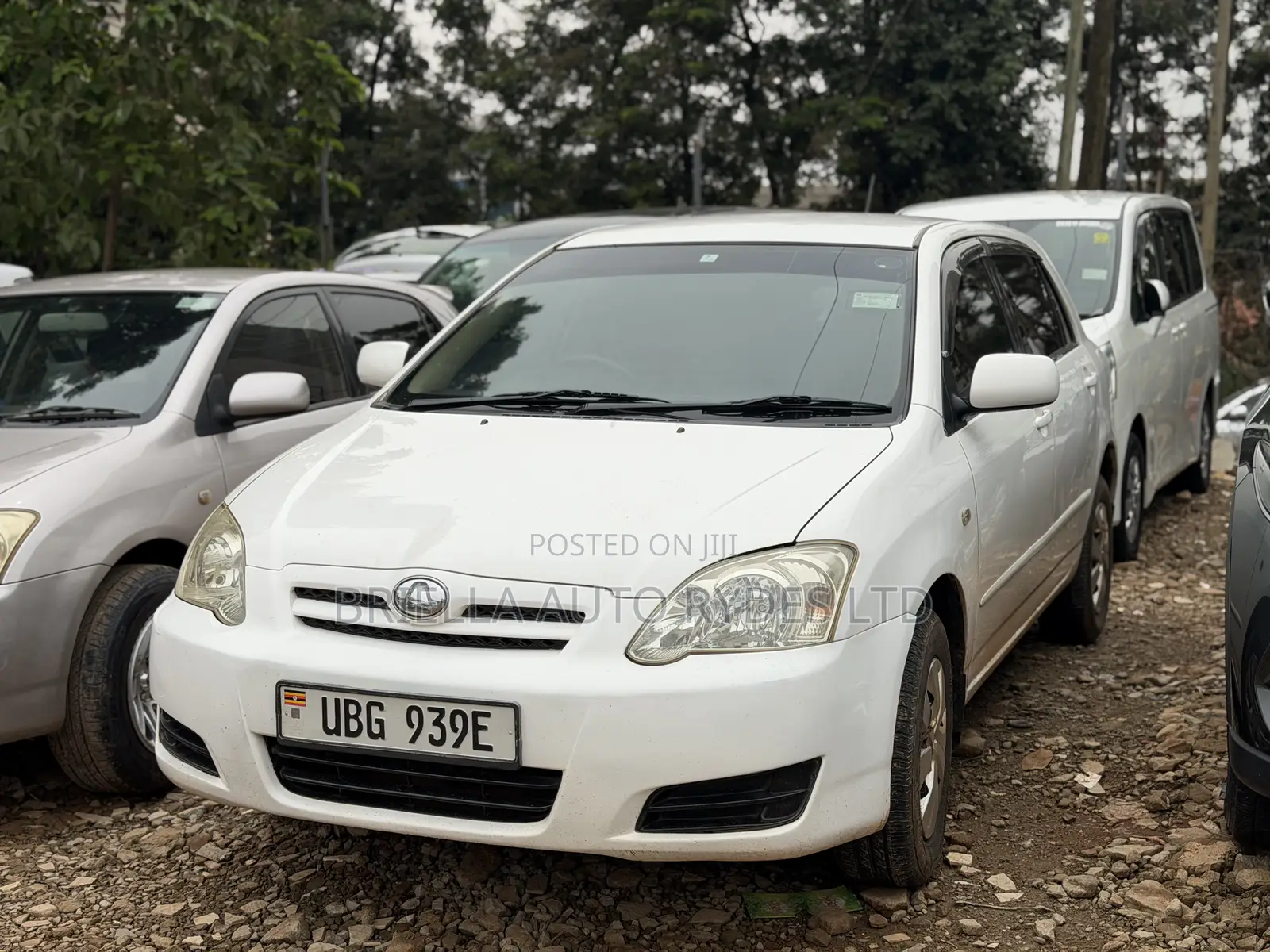 Toyota Allex 2006 White