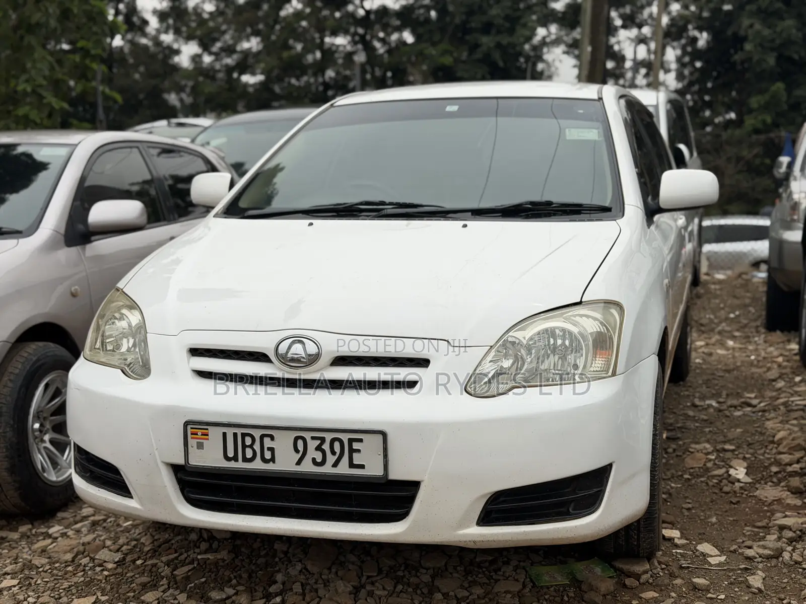 Toyota Allex 2006 White