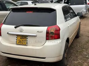 Toyota Allex 2006 White